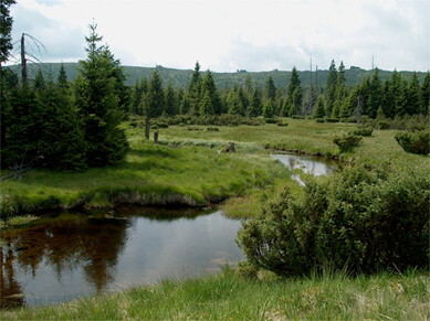 Intaktes Land